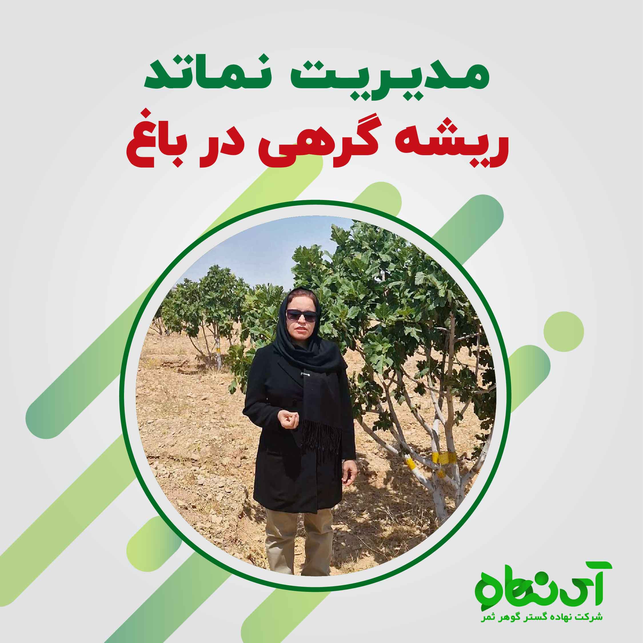 مدیریت نماتد ریشه گرهی در باغ